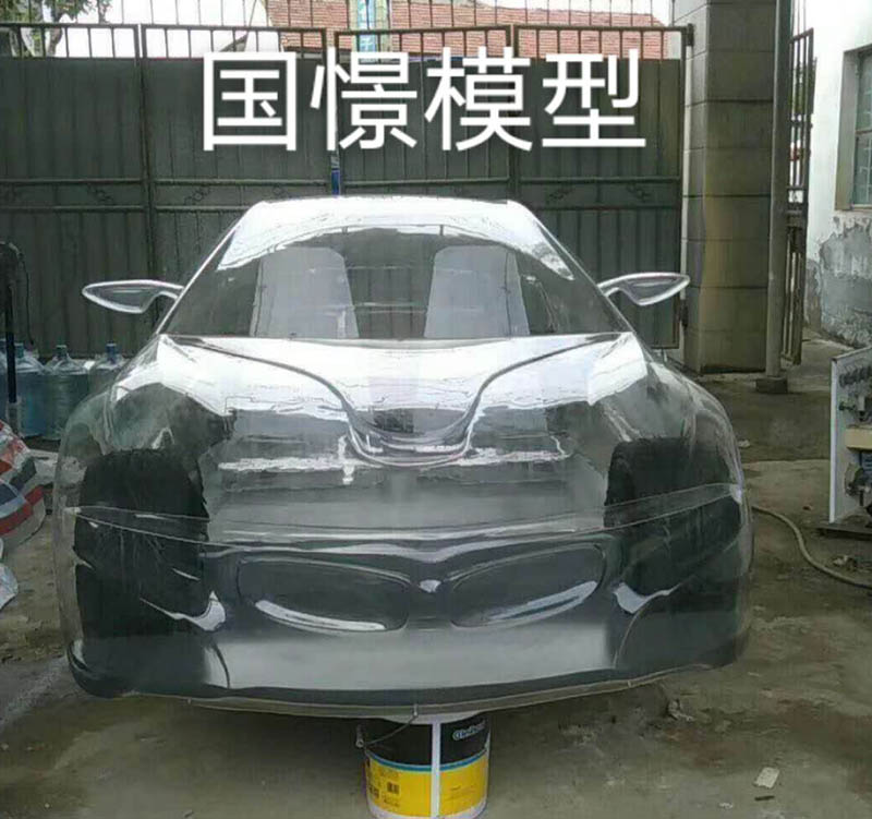 江阴市透明车模型
